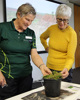 Learn to wipe out Northland’s worst weeds at free workshops