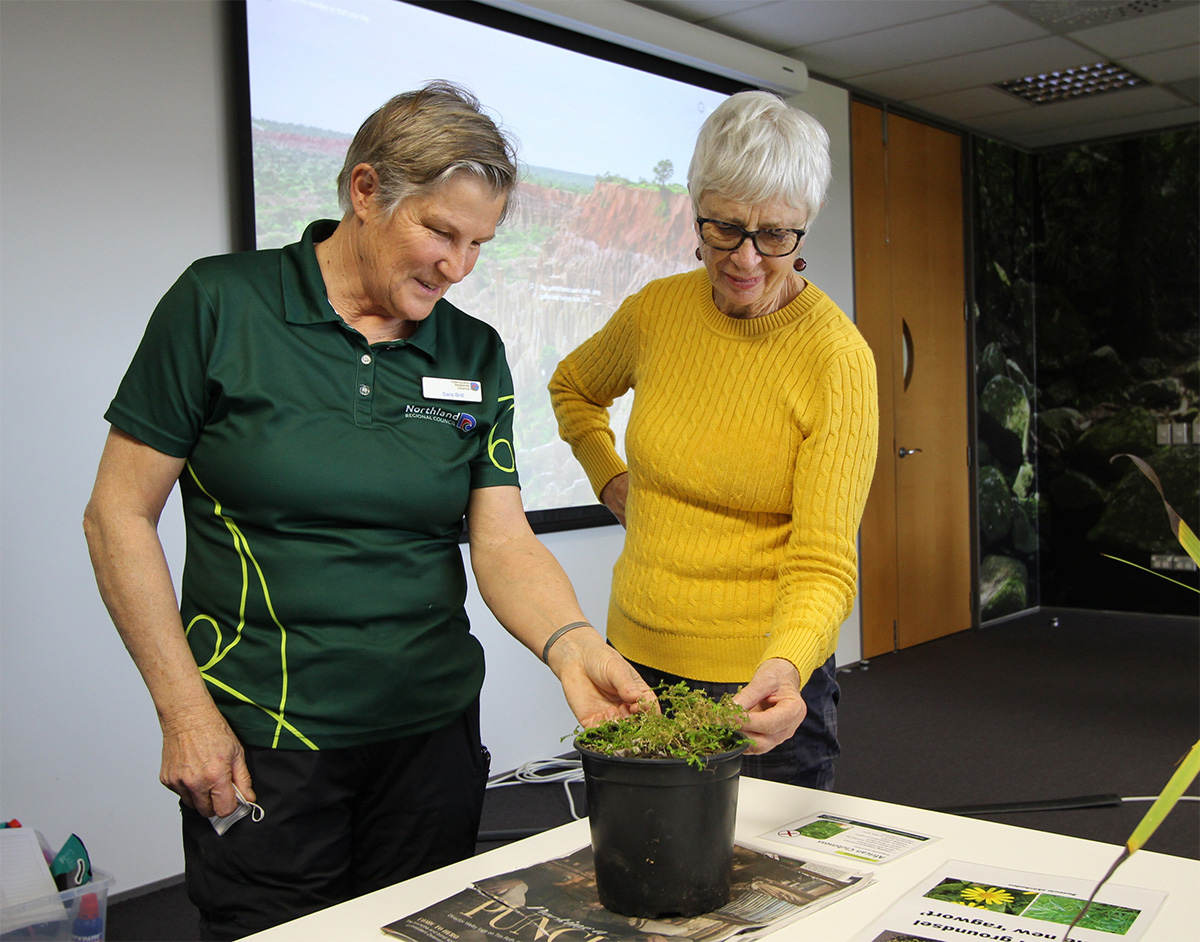 Two women look at a sample weed at a weeds workshop.
